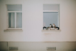  Thomas Pirot Photography