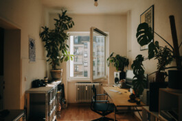  Thomas Pirot Photography