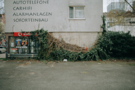  Thomas Pirot Photography