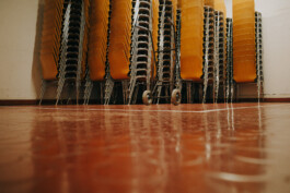  Thomas Pirot Photography
