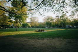  Thomas Pirot Photography