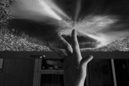  Thomas Pirot Photography