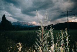  Thomas Pirot Photography