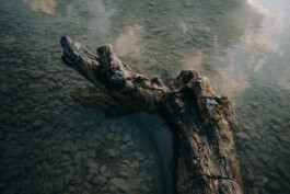  Thomas Pirot Photography