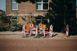  Thomas Pirot Photography